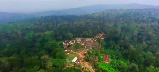 インド コーヒー農園